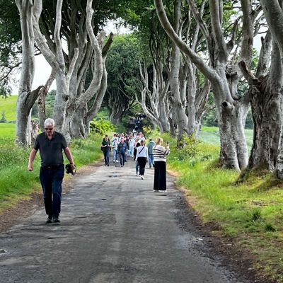 Path-Trees
