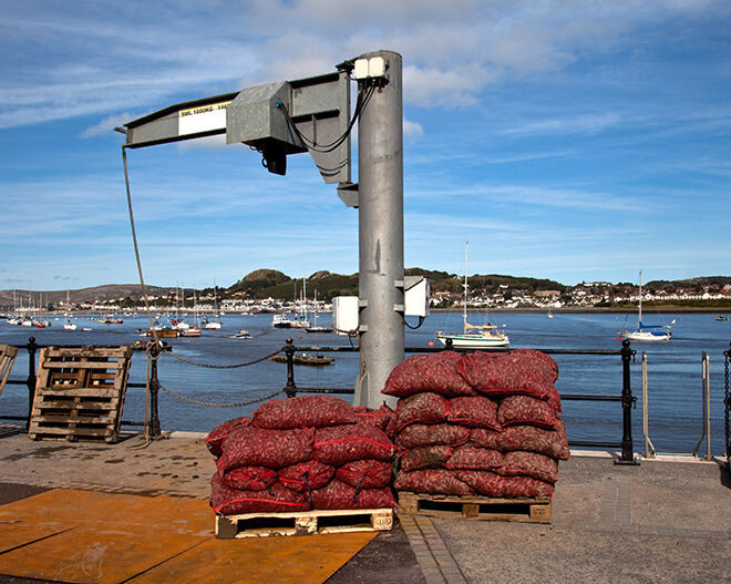 Conwy-Mussels