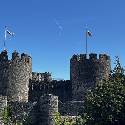 Castle-Flags