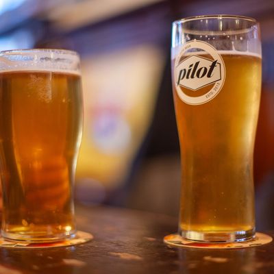Pints of beer