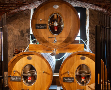 beer barrels in old cellar