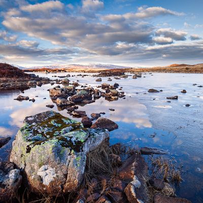 reflection of stone on water in Rannoch Moor Scotland