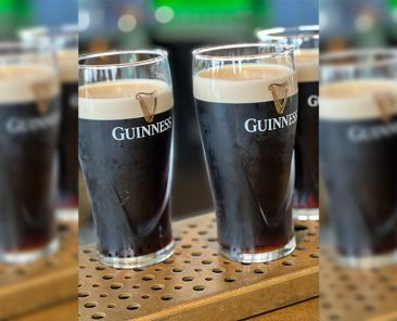 lineup of guinness beer in prep for dublin irish festival